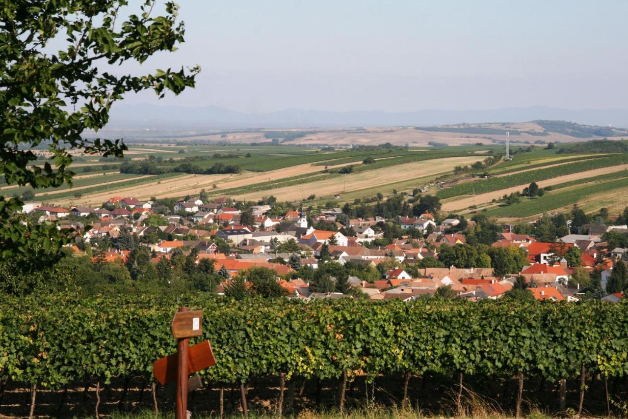 Отель Weingut Zur Schlafmuetze Herrnbaumgarten Экстерьер фото