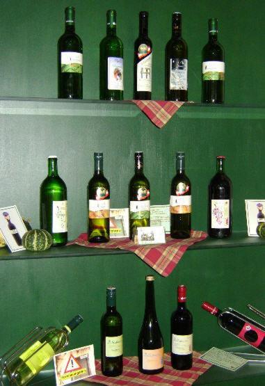 Отель Weingut Zur Schlafmuetze Herrnbaumgarten Экстерьер фото